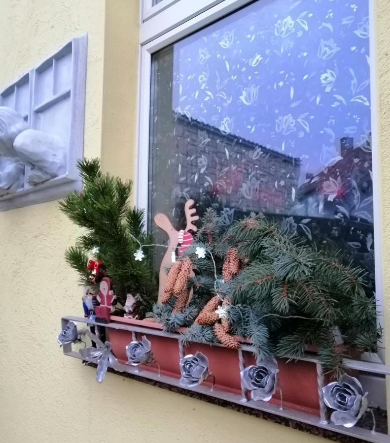 Usis_Ferienwohnung Im Harz Quedlinburg Eksteriør bilde